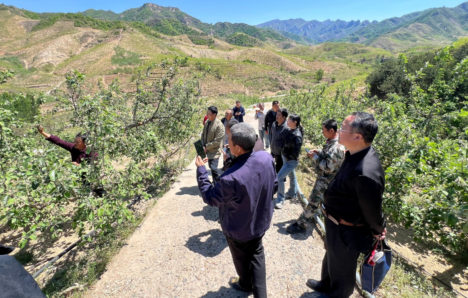 我市组织开展乡土专家庆“五一”现场观摩交流活动