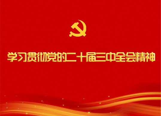 学习贯彻党的二十届三中全会精神