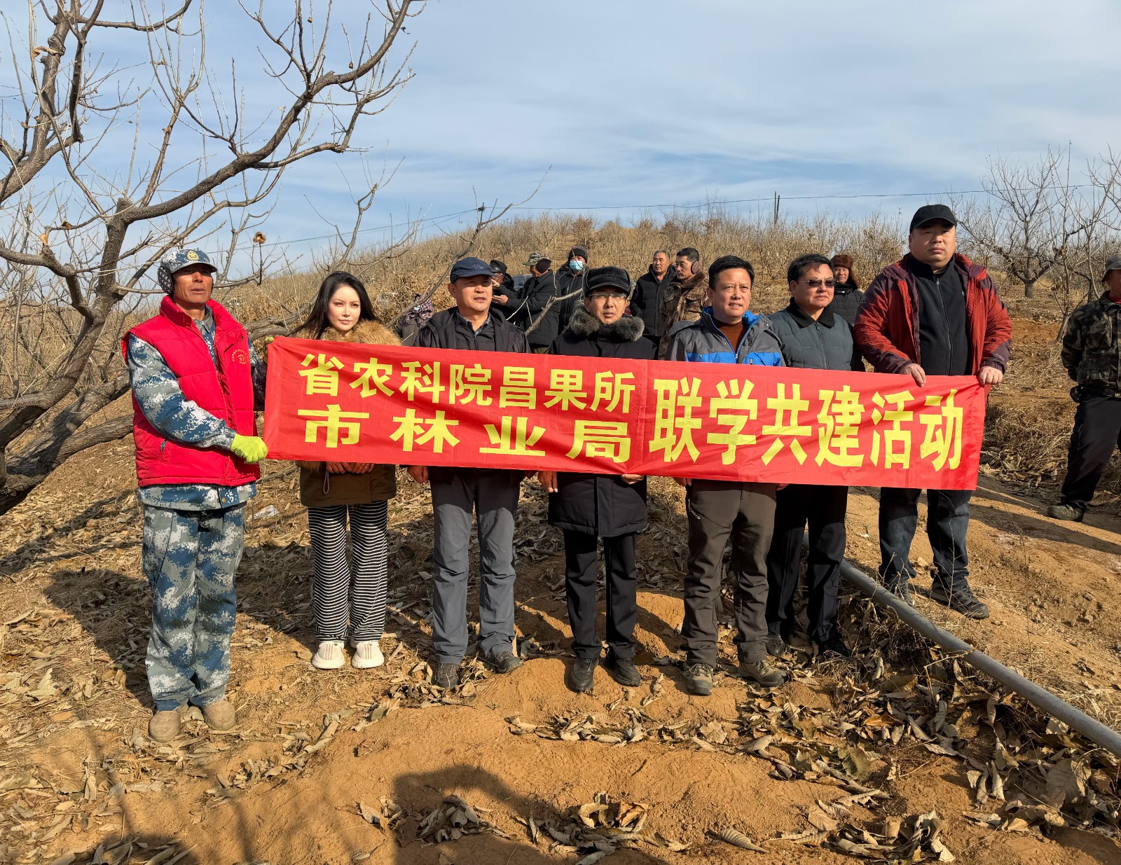 市林业局联合昌黎果研所党总支赴青龙起河村开展板栗修剪技术培训